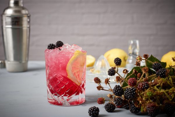 bramble cocktail bar hire