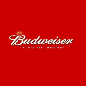 Budweiser 11g 88 pints 4.3%