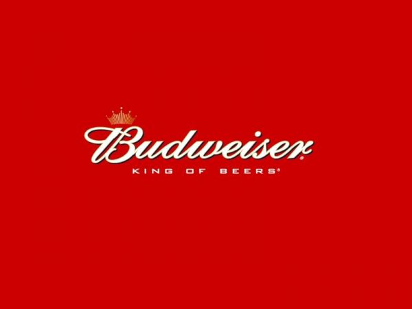 Budweiser 11g 88 pints 4.3%